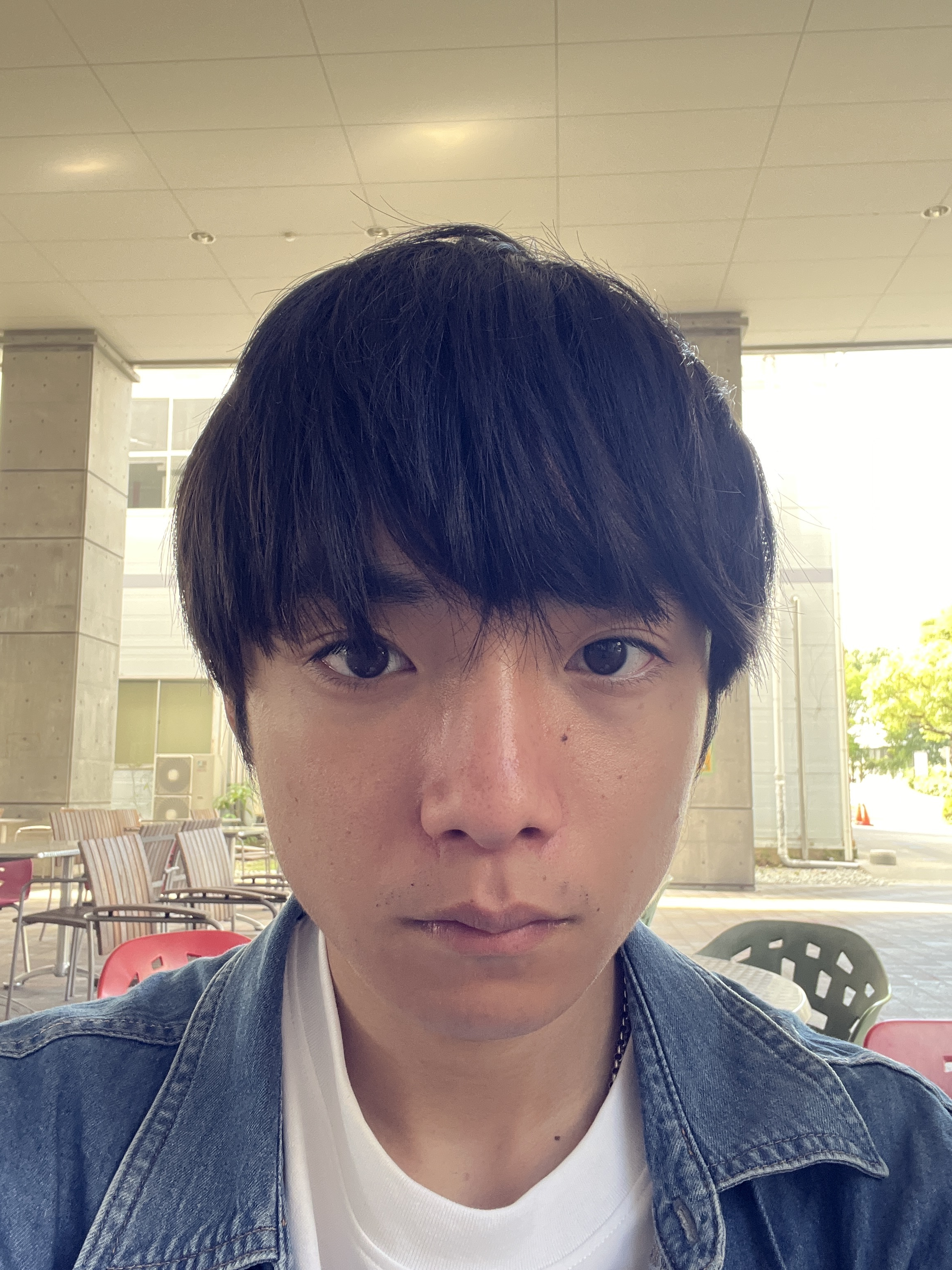 顔写真